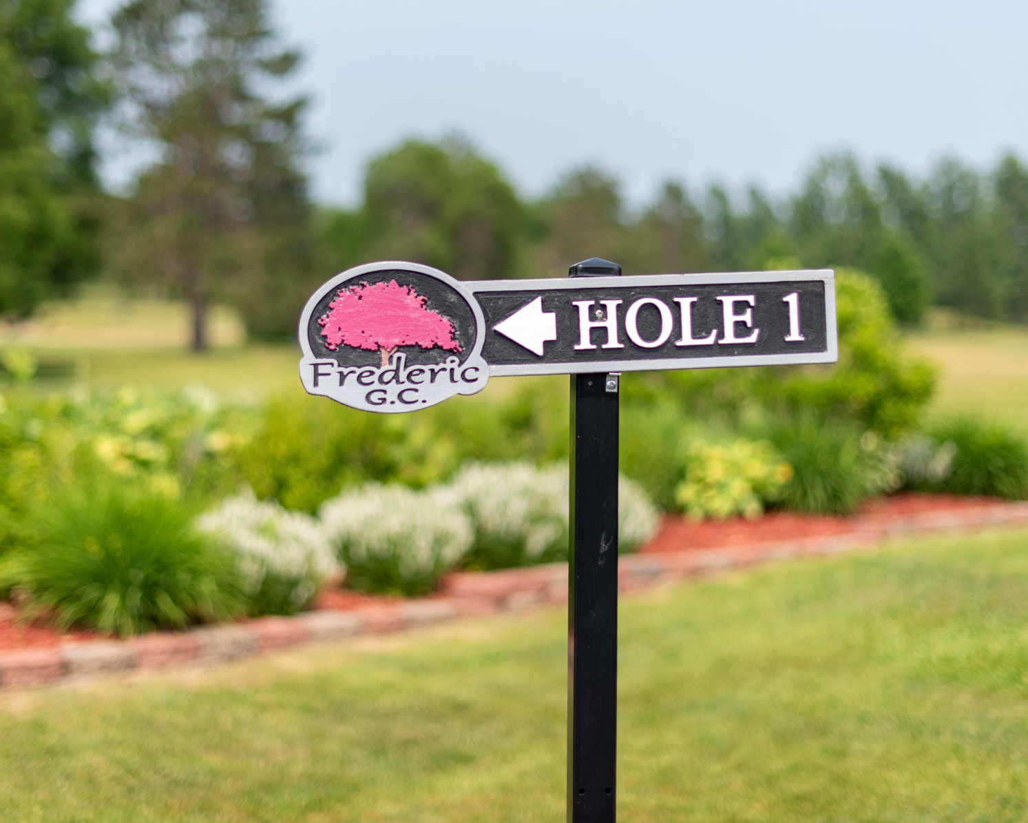 Play Golf
